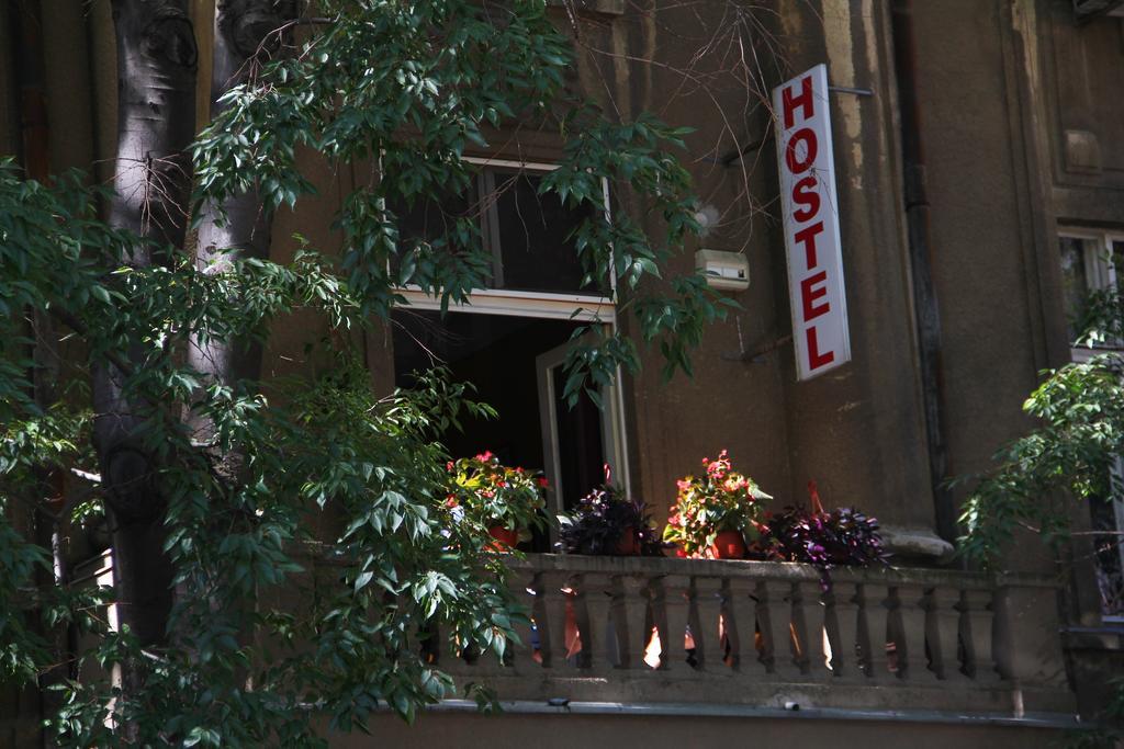 נובי סאד Hostel Sova מראה חיצוני תמונה